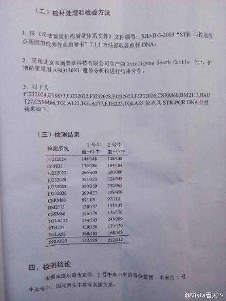 村民讨牛被要求做DNA鉴定证明“你家牛是你家牛” 国内 第1张