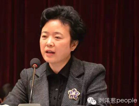 四川省长魏宏严重违纪 或由资阳美女书记牵出 国内 第1张