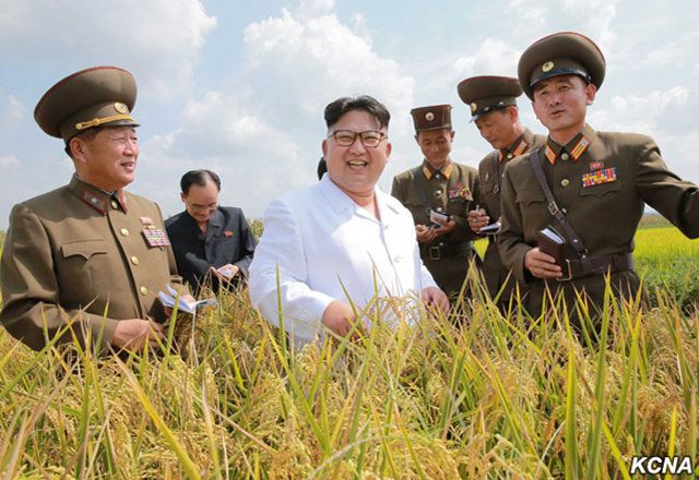 金正恩视察朝鲜人民军农场 国际 第1张