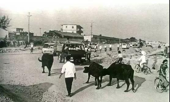 这组黑白照片，贯穿了整个80年代 历史 第4张