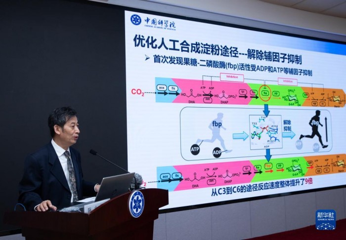 我国科学家突破二氧化碳人工合成淀粉技术 科技 第2张