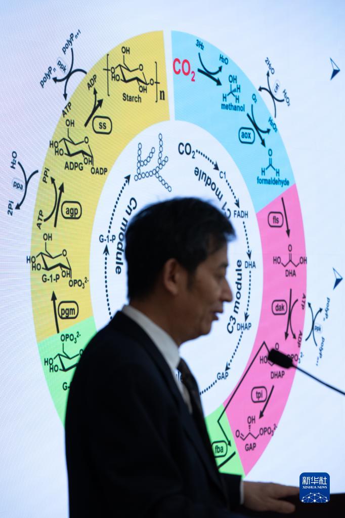 我国科学家突破二氧化碳人工合成淀粉技术 科技 第3张