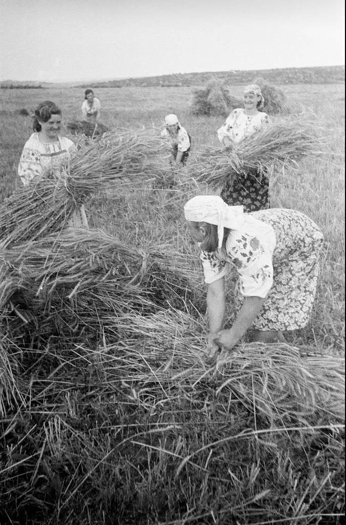 苏联时代的乌克兰女人老照片 历史 第13张